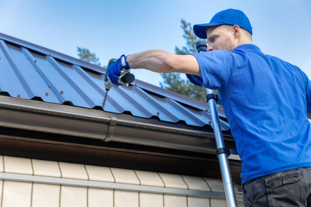 Best Gutter Installation and Repair  in Plains, MT