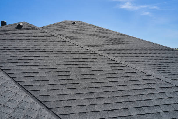 Best Roof Leak Repair  in Plains, MT